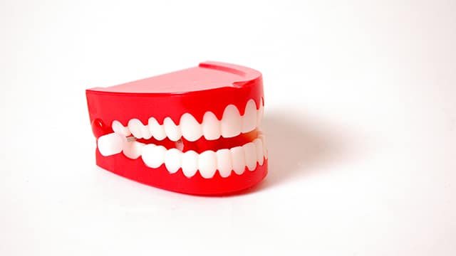 Dentures wind-up toy