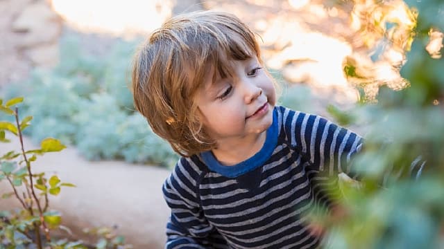 Niño sonriendo feliz en el parque