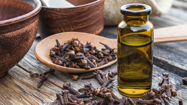 can i use clove oil for toothache pain - colgate ph