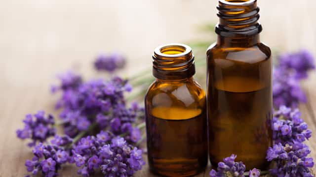 Essential oils and lavender flowers on a table