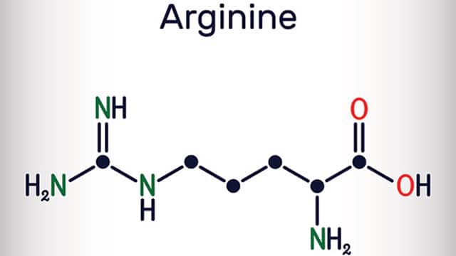 Arginine arg larginine essential amino