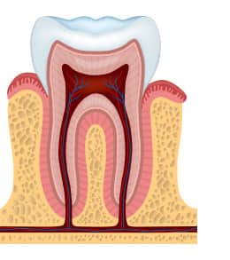 tooth decay stages - healthy teeth - colgate my