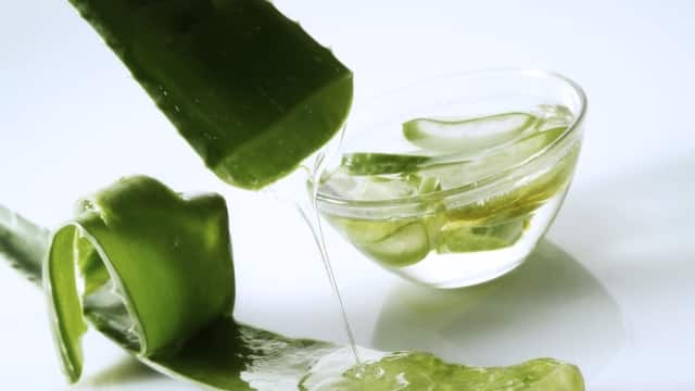 Close-up of an aloe vera plant cut open with its gel exposed next to a small bowl of aloe gel 
