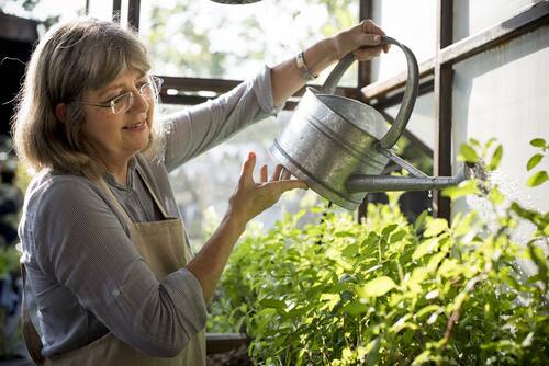  woman watering plants