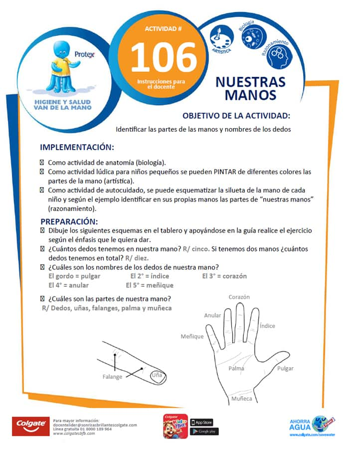 Actividad 106: Nuestras Manos - Docente