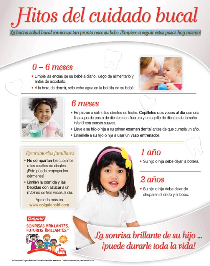 Póster: Hitos del cuidado bucal de 0 - 2 años - Familia
