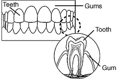 Alta Glucosa en la sangre puede causar problemas de dientes y encías
