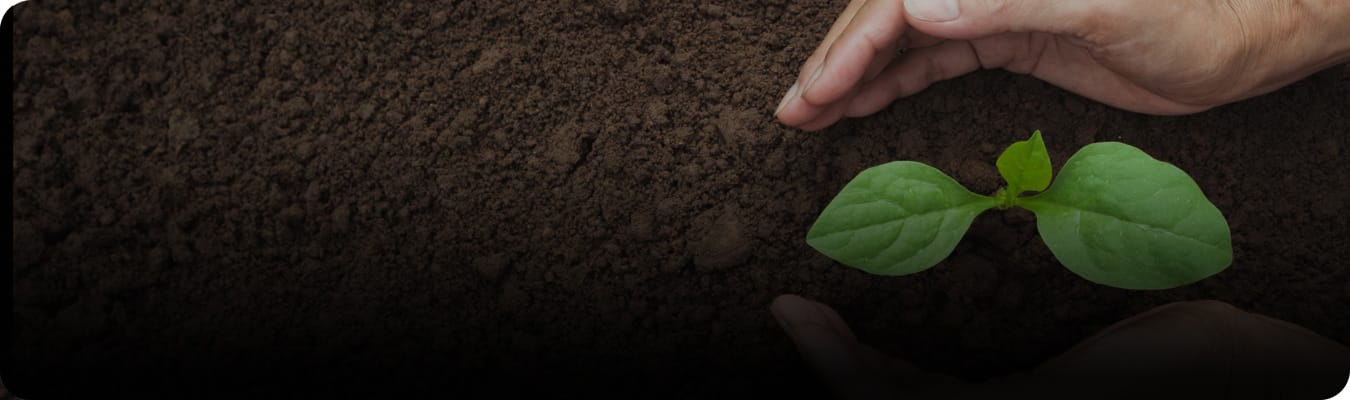 Por un planeta saludable con transparencia Por un planeta saludable con transparencia