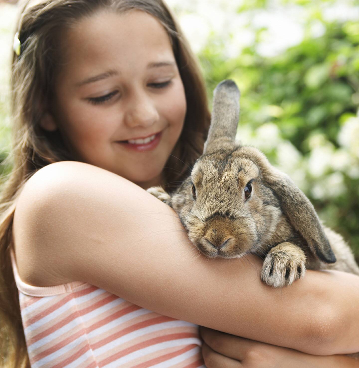 O NOSSO COMPROMISSO PARA COM O BEM ESTAR DOS ANIMAIS