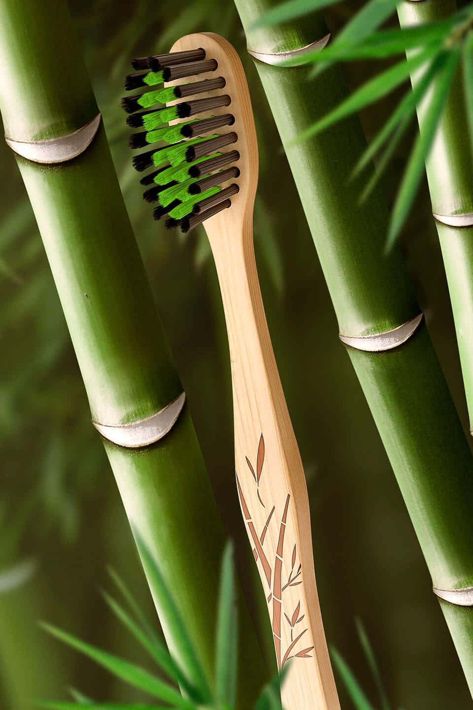 Colgate Bamboo