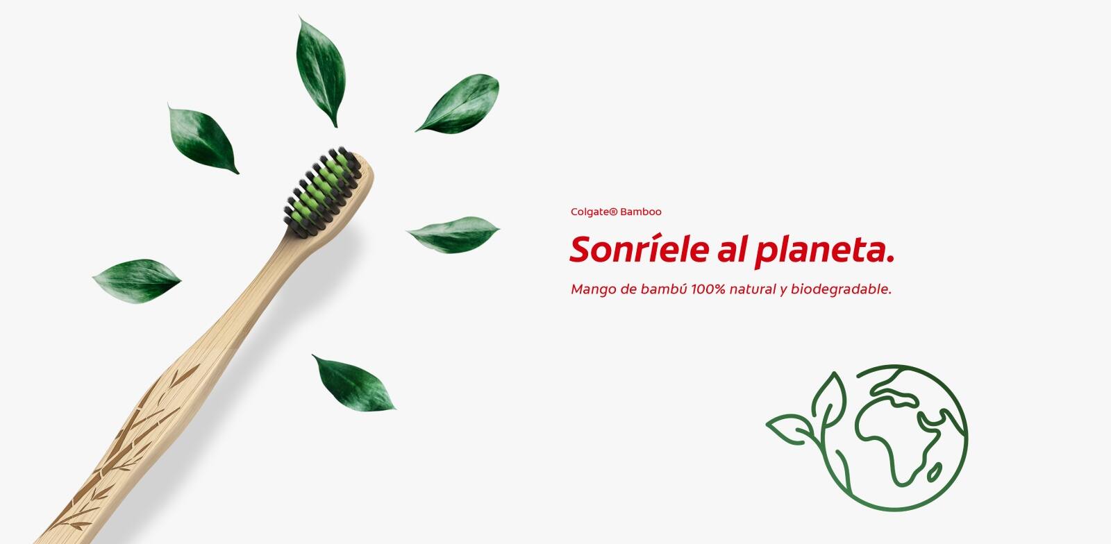 Banner bamboo