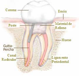 El toque de la coronación