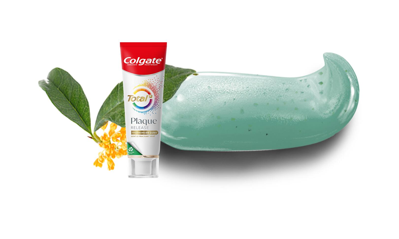 Colgate Total Plaque Release Toothpaste | Gentle Fragrant Mint Flavour 
