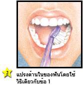 การแปรงฟันที่ถูกวิธี - แปรงด้านในของฟันอย่างแนวขนานกับเหงือก