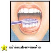 การแปรงฟันที่ถูกวิธี - แปรงเหงือก