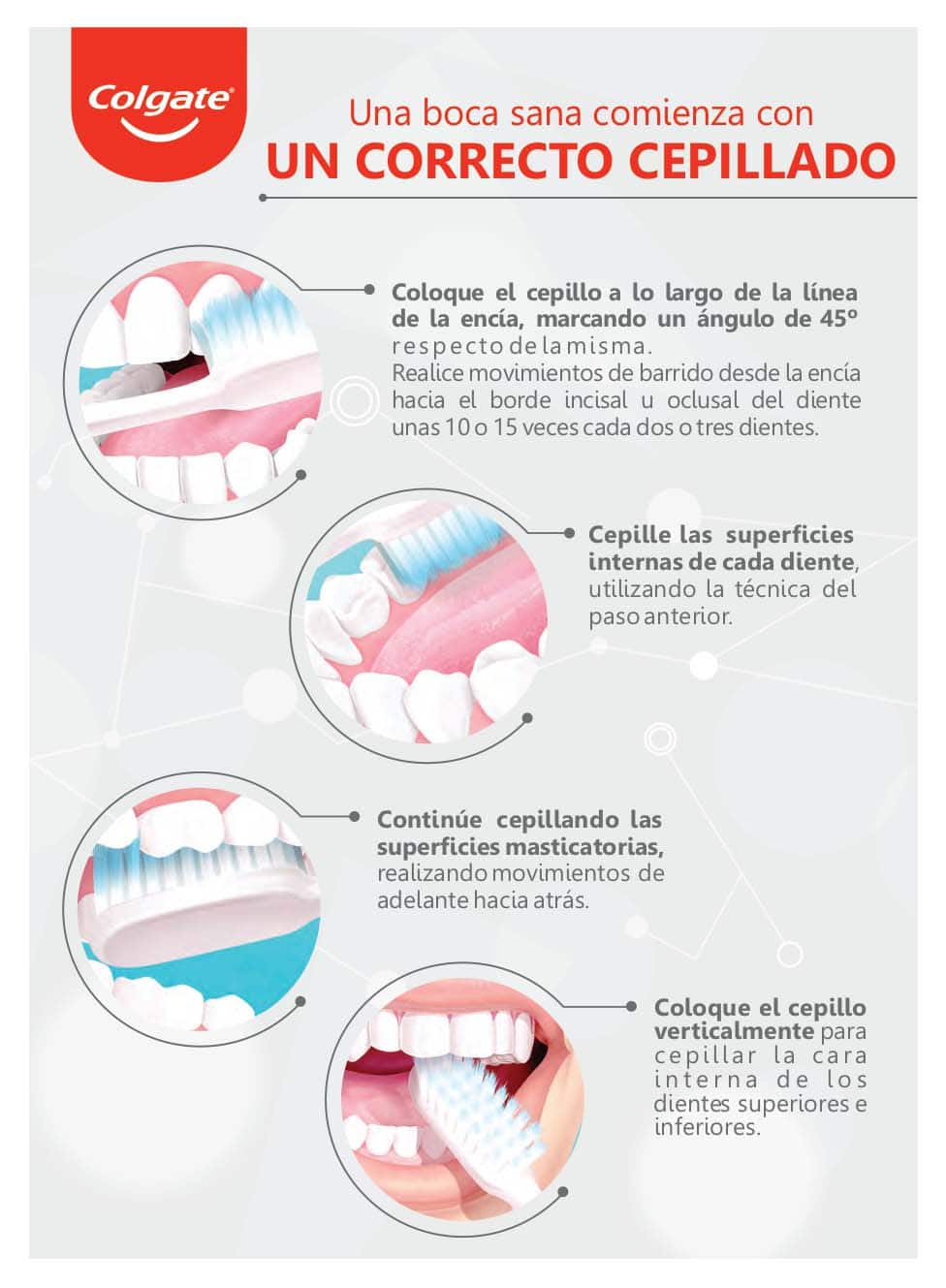 Infografia de como cepillar para tener una boca sana