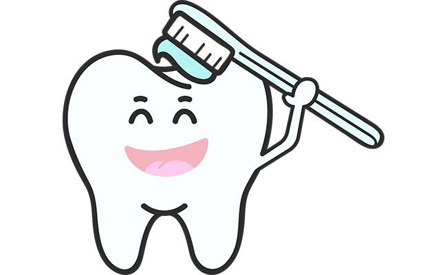 Fırça ve diş macunu ile fırçalanan diş